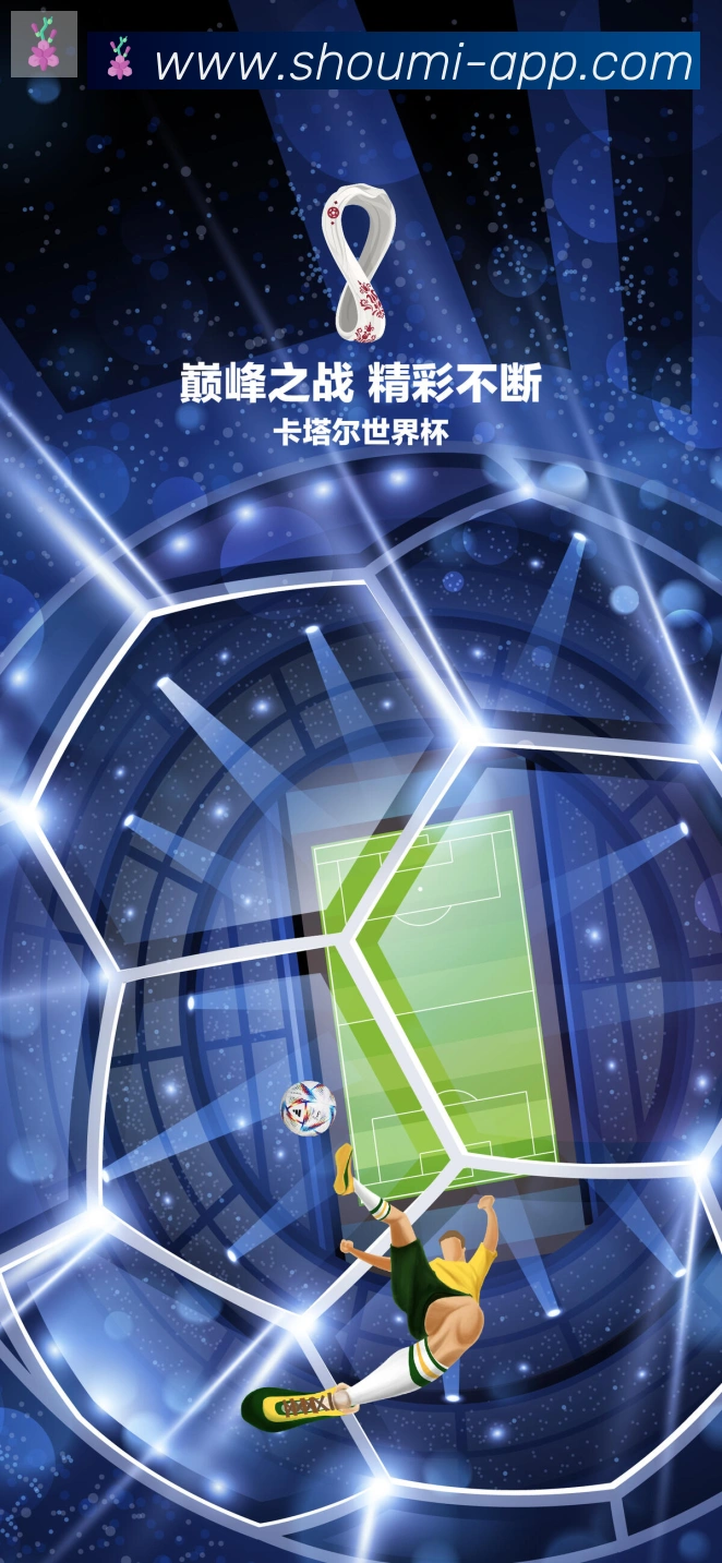 未来规划